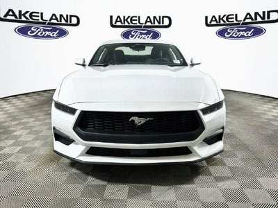 2026 Ford Mustang EcoBoost