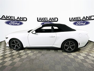 2025 Ford Mustang EcoBoost Premium