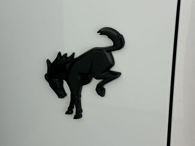 2025 Ford Bronco Matte Black Edition