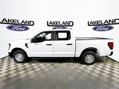 2025 Ford F-150 XL