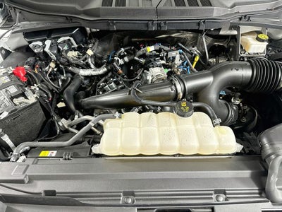 2024 Ford F-150 XL
