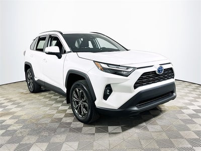 2024 Toyota RAV4 Hybrid XLE Premium